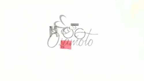 Поршень 2T TB 60, Suzuki RUN 1,00 (d44,00 p-10) SUNY (mod.A)