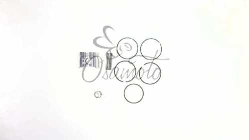 Поршень 4T GY6 125 .STD (d52,40) SUNY (mod.B)
