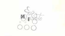 Поршень Delta 70 0,25 (Ø47,25) SUNY (mod.A) Suny