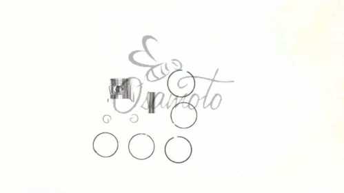 Поршень Delta 70 0,25 (d47,25) SUNY (mod.A)