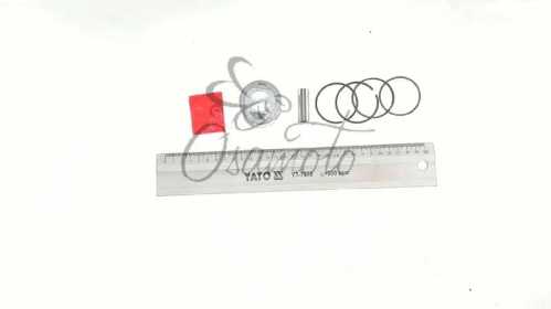 Поршень Delta 70 0,75 (d47,75) SUNY (mod.B)