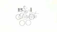 Поршень 4T ARN 150 0,25 (Ø57,65 p-15) SUNY (mod.A) Suny