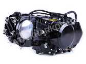 Двигатель 110CC - Дельта/Альфа/Актив, механика + карбюратор - без электростартера, BLACK - TATA LUX