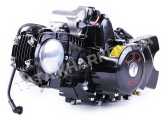 Двигатель 110CC - Дельта/Альфа/Актив, механика + эл.стартер + карбюратор - алюминиевая ЦПГ, BLACK - TATA LUX