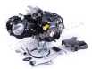 Двигатель 110CC - Дельта/Альфа/Актив, механика + эл.стартер + карбюратор - алюминиевая ЦПГ, BLACK - TATA LUX