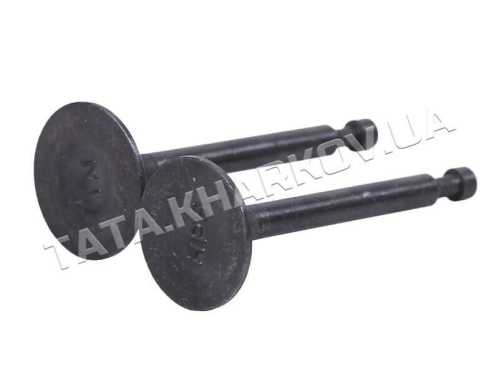 Клапаны, к-т: 2 шт. - 168F Y-BOX