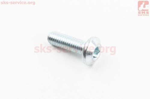 Болт крепления тормозного диска M8x25mm (под шестигранник) тип 2