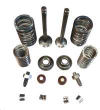 Клапани (пара, у зборі) Delta 70 OLN Заводской стандарт OEM