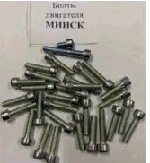 Болти двигуна МІНСЬК к-кт 29шт (М6х10мм, М6х25мм-24шт, М6х30мм-3шт, М6х40мм) MIS MIS