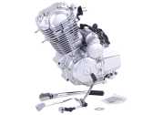 Двигатель 4T CB250 (165FMJ) AMG