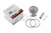 Поршень для Goodluck GL 5200 (Ø45,00) WOODMAN