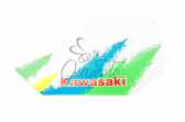 Наклейка логотип KAWASAKI (28х15см) (#2322)
