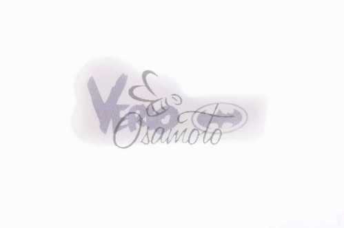 Наклейка логотип VERIO (12x6см) (#4916)