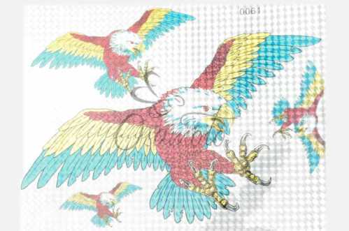 Наклейки (набор) EAGLE (30х22см) (#0061A)