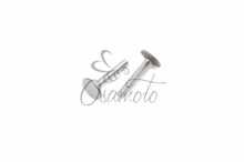 Товкачі штанг ГРМ (пара) м/б 190N/195N (12/15Hp) DIGGER