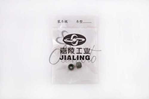 Сальники клапанов (пара) 4T CB125/150 JIALING