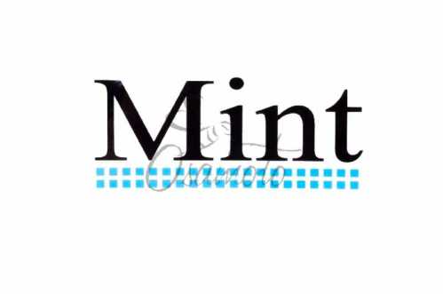 Наклейки (набор) MINT (13х5.5см) (#1264)
