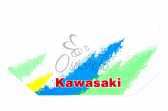Наклейки (набор) KAWASAKI (29х14см) (#0768)