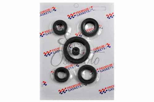 Сальники (набор) 4T CG200 (полный) PREMIUM GASKETS