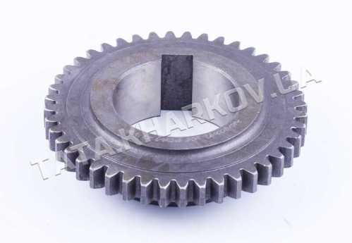 Шестерня 1-й передачи Z-44 Foton 244, ДТЗ 244, Jinma 244/264