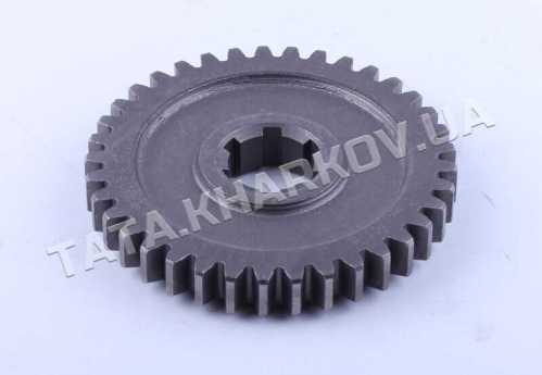 Шестерня 4/6 передачи КПП Z-6/37 Xingtai 24B, Shifeng 244,Taishan 24