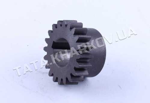 Шестерня КПП Z-20 Xingtai 24B, Shifeng 244,Taishan 24