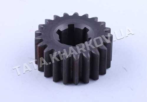 Шестерня КПП Z-6/21 Xingtai 24B, Shifeng 244,Taishan 24