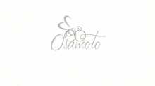 Кільця Suzuki LETS 50 .STD (Ø41,00) SUNY (mod.B) Suny