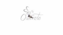 Фільтр паливний б/п (L-22,6mm, h-13,5mm, Ø4,4mm, mod:201-1) WOODMAN (mod.A) Заводской стандарт OEM